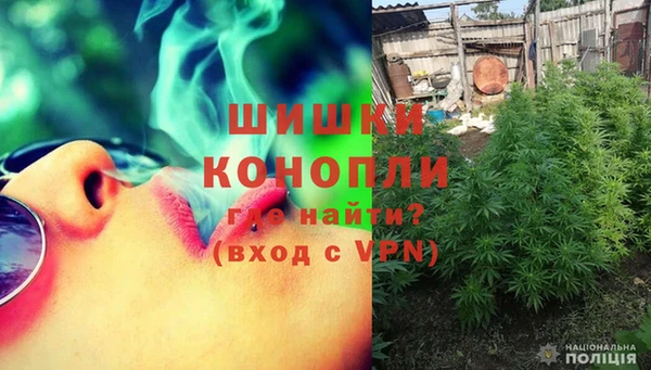 гидропоника Белокуриха