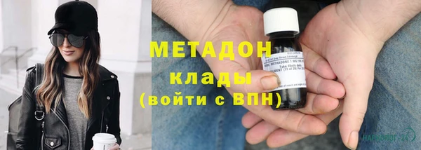 прущие грибы Балахна