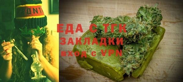 индика Вяземский