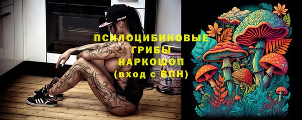прущие грибы Балахна
