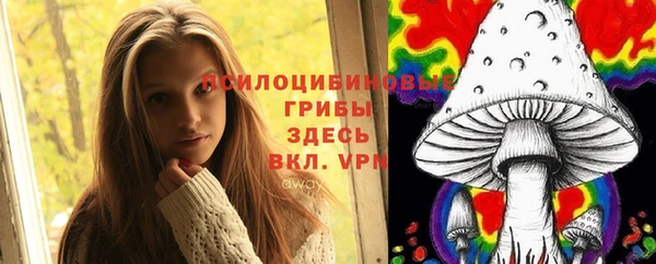 гидропоника Белокуриха