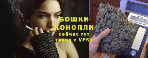гидропоника Белокуриха