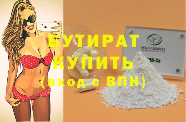 индика Вяземский