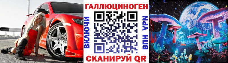 Галлюциногенные грибы Psilocybe  Городовиковск 