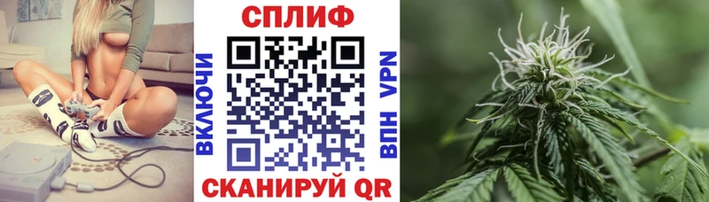 купить   Городовиковск  МАРИХУАНА OG Kush 